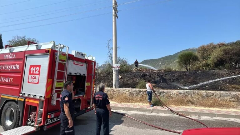 bodrumda-otluk-alanda-yangin-denetim-altina-alindi-g9ZqrQw3.jpg
