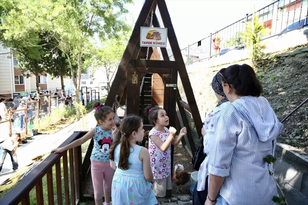 giresunda-orman-okulu-projesi-baslatildi-wTjVLYNK.jpg
