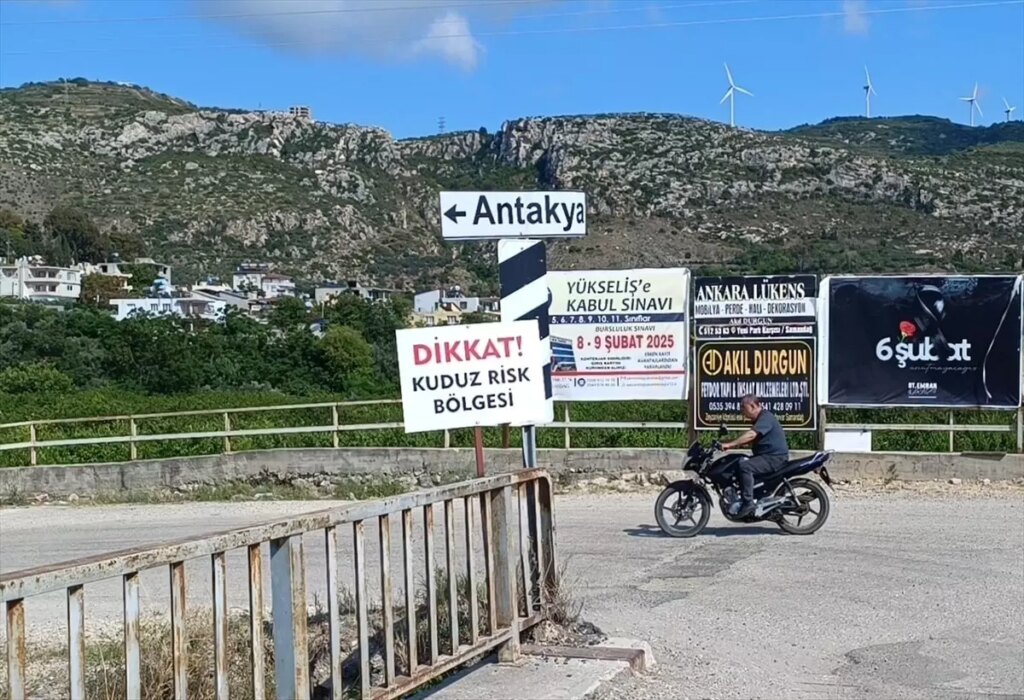 hatayda-kuduz-tehdidi-4-mahallede-karantina-ve-kopek-toplama-calismalari-baslatildi-U2yXhG41.jpg